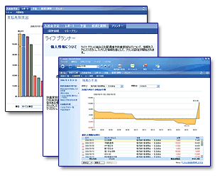 Microsoft Money 2006��ʃC���[�W