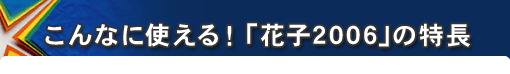 ȂɎgIuԎq2006�̓