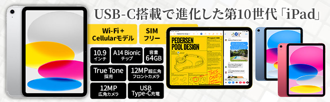 iPad10一応動作未確認 iPad10一応動作未確認 iPad本体