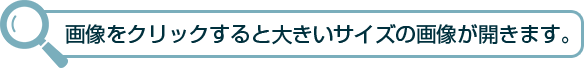画像をクリックすると大きいサイズの画像が開きます