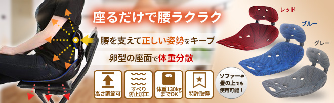 サポートクッション セット ROUND BACK & STRECH FIT NEWエスバック フィットプラス ランバーサポートクッション - Just MyShop