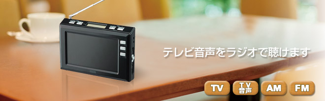 YAZAWA 4.3インチ液晶搭載ワンセグTVラジオ TV03BK - Just MyShop