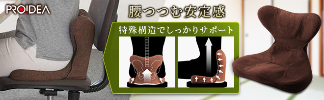 PROIDEA （プロイデア）馬具マットプレミアムEX ブラウン - Just