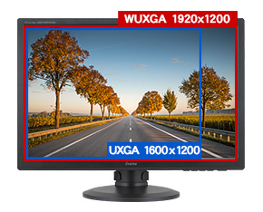 A3原寸大表示が可能な1920×1200解像度対応