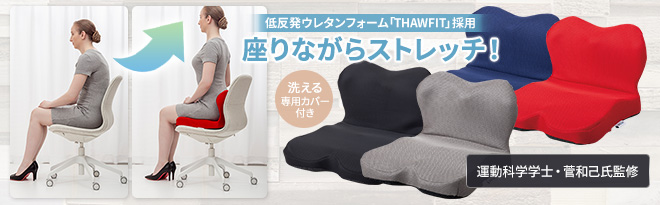 ガマカ工業 座りながらストレッチチェアクッション - Just MyShop