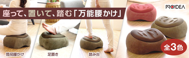PROIDEA スリムルームステッパー 多機能スツール - Just MyShop