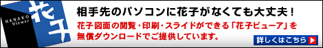Ԏqr[A