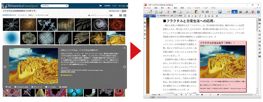 300万点以上の画像データベース「ブリタニカ・イメージクエスト」