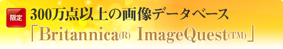 300万点以上の画像データベース「ブリタニカ・イメージクエスト」